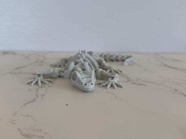 Skeleton Gecko - Image 2