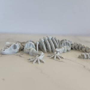 Skeleton Gecko