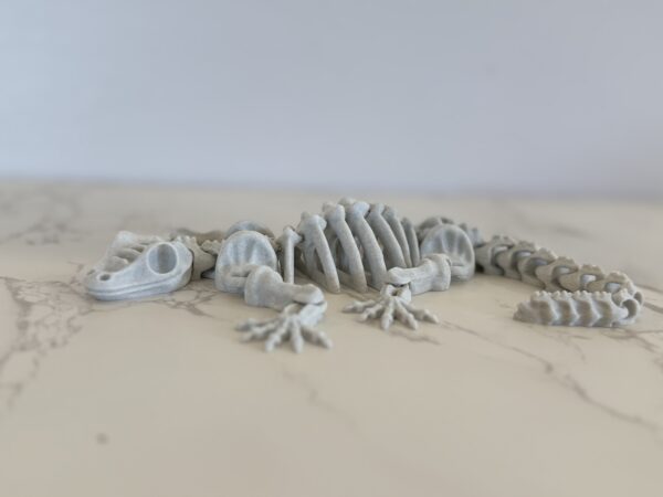 Skeleton Gecko