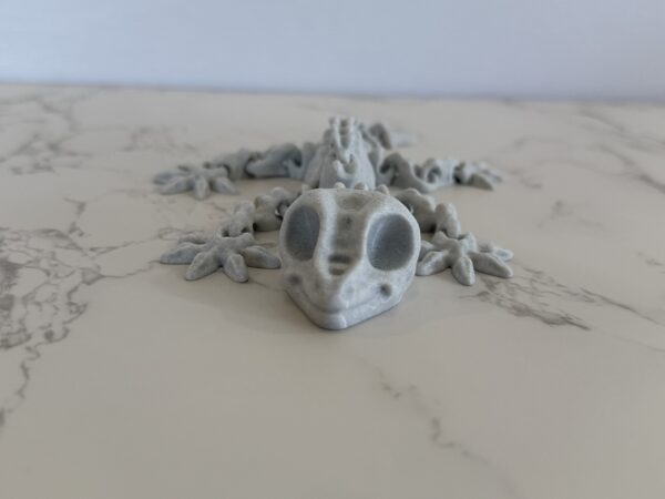 Baby Gecko Skeleton - Image 2